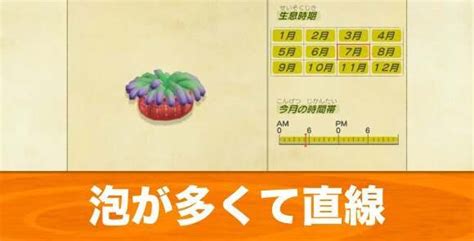 【あつ森 2025年版】泡が多くて不規則に動く海の幸一覧【あつまれどうぶつの森】 アルテマ