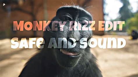 Monkey Rizz Edit Safe And Sound Monkey Edit Youtube