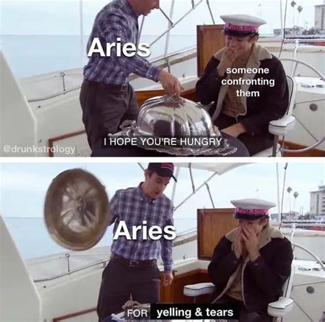 50 Side Splitting Aries Memes That Every Arian Will Relate To Aries