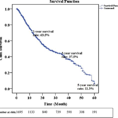 Kaplan Meier Curve 5 Year Survival Rate Download Scientific Diagram