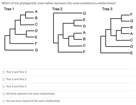 Solved Which Of The Phylogenetic Trees Below Represent The