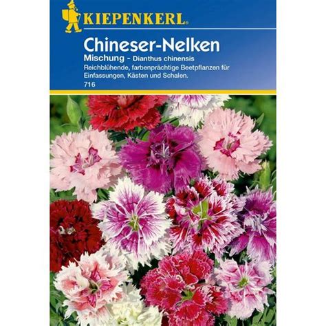 Kiepenkerl Chineser Nelken Mischung 1 Packung Bloomling Deutschland