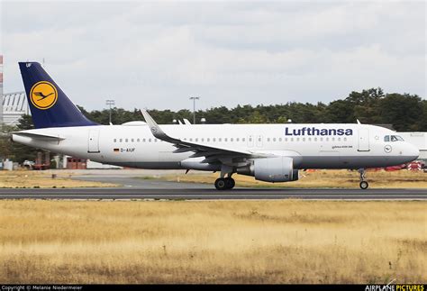 D AIUF Lufthansa Airbus A320 At Frankfurt Photo ID 1112204