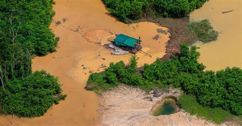 Ibram E Usp Se Unem Para Combater Minera O Ilegal De Ouro Minera Brasil