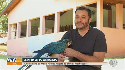 Conhe A O Ambientalista De Monte Alto Sp Que H Anos Resgata