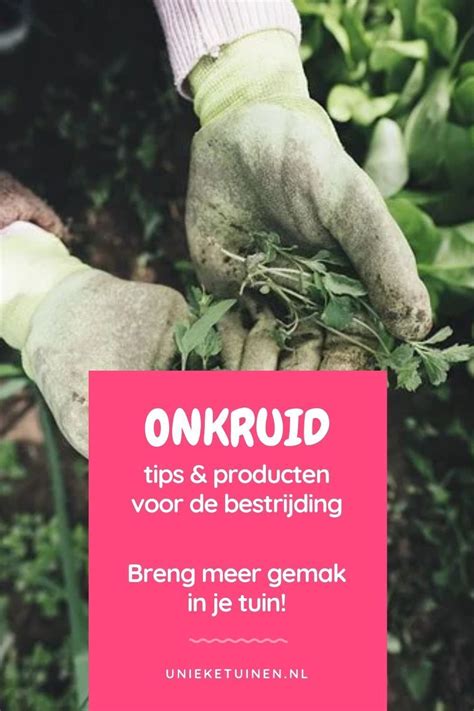 Introductie In Geneeskrachtige Kruiden En Planten Artofit