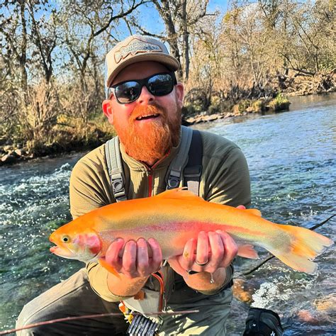 Central Ca Steelhead Rflyfishing