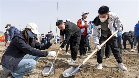 广汇集团团委青年参加团市委植树活动 共绘乌市生态底色 天山网 新疆新闻门户