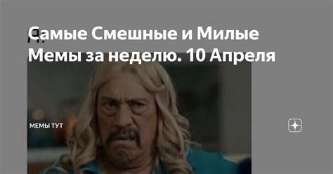 Самые Смешные и Милые Мемы за неделю. 10 Апреля | Мемы Тут | Дзен