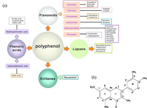 A Classification Of Polyphenols And B Chemical Structure Of