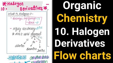 Flow Chart Notes Chapter 10 Halogen Derivatives Organic Chemistry Class 12 Youtube