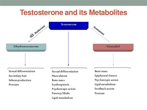 Testosterone Deficiency In Male By Dr Selim