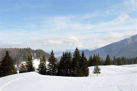 Imagen gratis nieve invierno montaña frío paisaje madera árbol