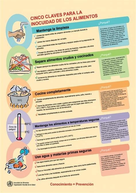 Las Cinco Claves Para La Inocuidad De Los Alimentos De La OMS