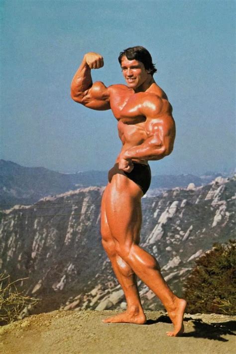 Arnold Pose