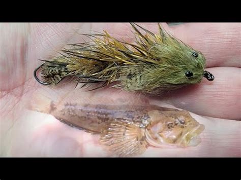 Tying An Articulated Short Strike Sculpin Fly Fly Tying So Easy A Rd