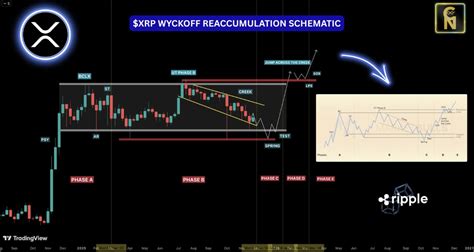 XRP Tests Multi-Month Support as Wyckoff Pattern Signals Possible Final