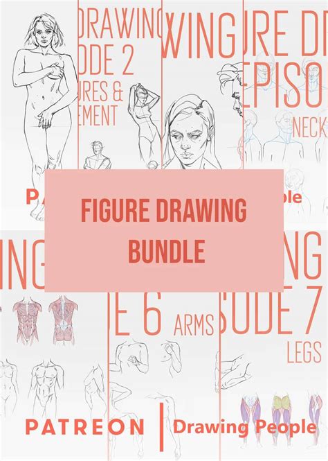 Figure Drawing Tutorials Special Special Bundle By Fernanda Suarez