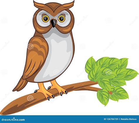 Cute Owl Sitting On A Branch Stock Vector Illustration Of Emotions Funny 136706739