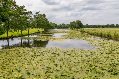 Burton Constable walk - Burton Constable Hall - East Yorkshire walks