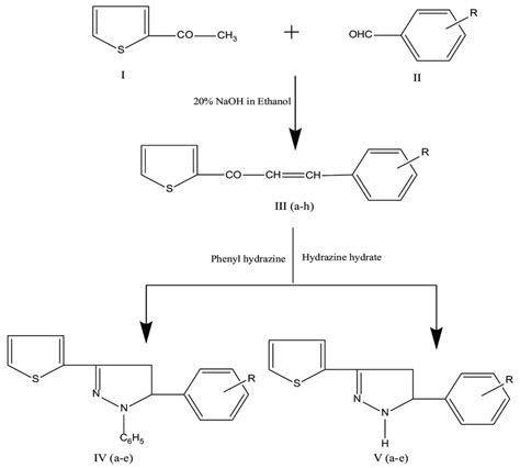 Scheme 1 Synthesis Of Pyrazolines From The Intermediate Chalcones I