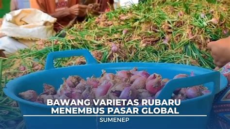 Bawang Varietas Rubaru Menembus Pasar Global YouTube