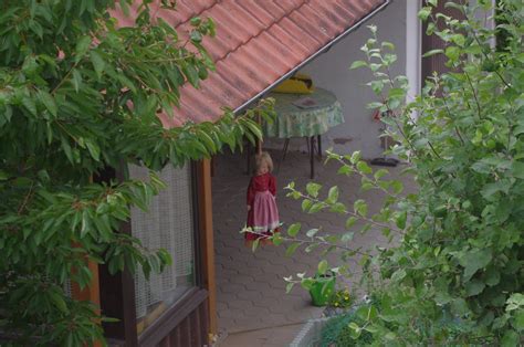 dunking machine for sale