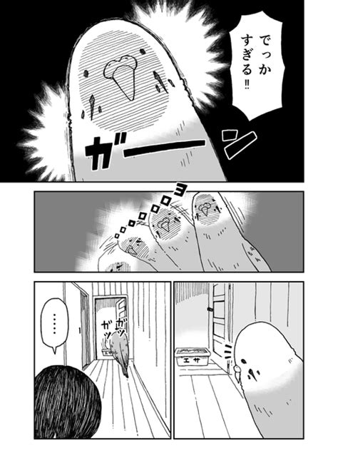 「うちのピーちゃん③ 」雪本愁二の漫画