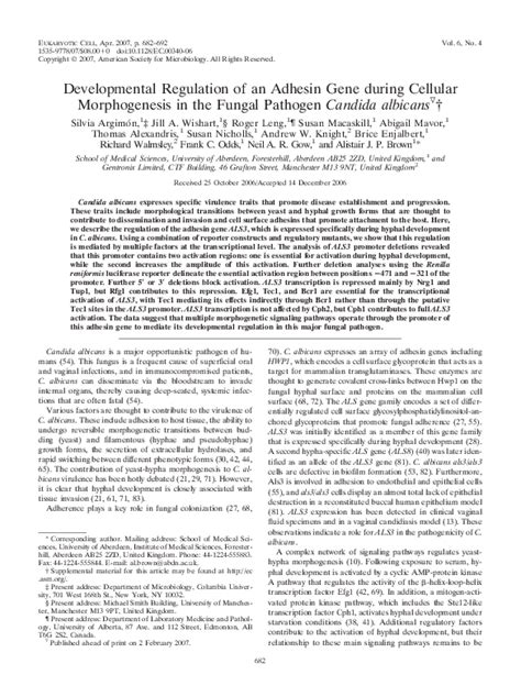 Pdf Developmental Regulation Of An Adhesin Gene During Cellular