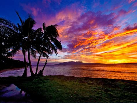 A Sunset in Mala, Maui, Hawai'i, Is Filled with Vivid Colors - Maui Hands