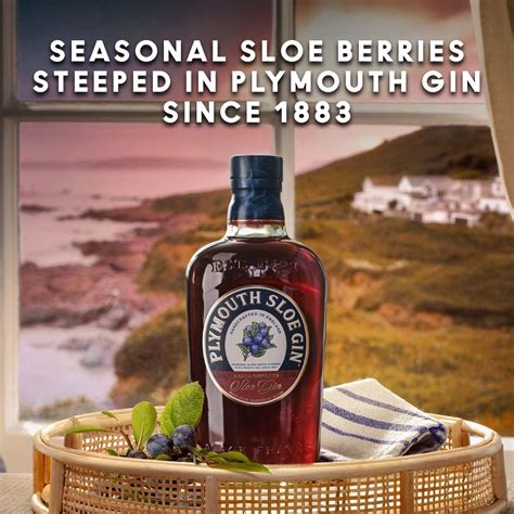 Plymouth Sloe Gin 70cl Rich And Fruity Sloe Gin With Mellow Berries