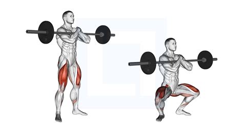 Barbell Zercher Squat - Guide, Benefits, and Form