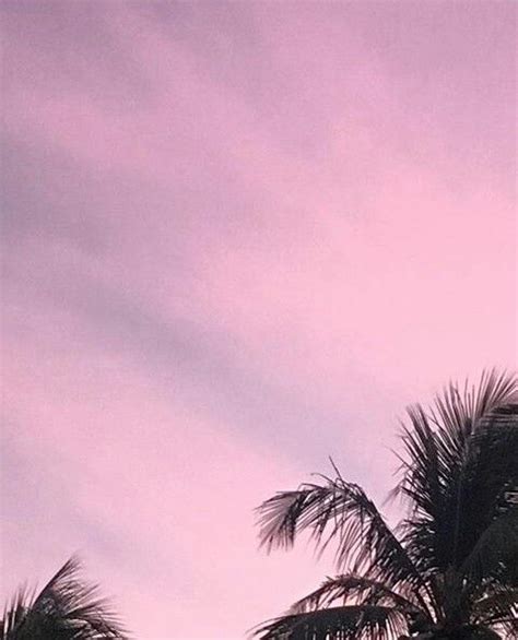 Aesthetic Pinterest Black And Pink Wallpaper