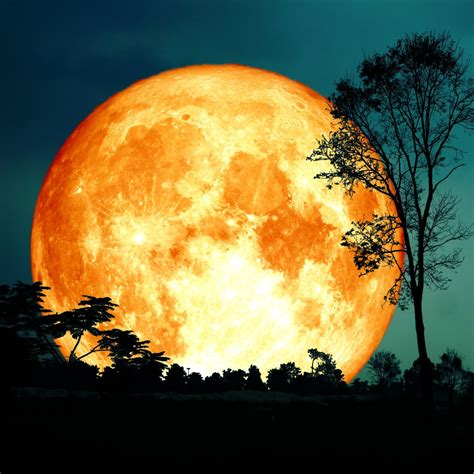 Blood Moon Spiritual Meaning - What does a Red Moon mean? - Awakening State