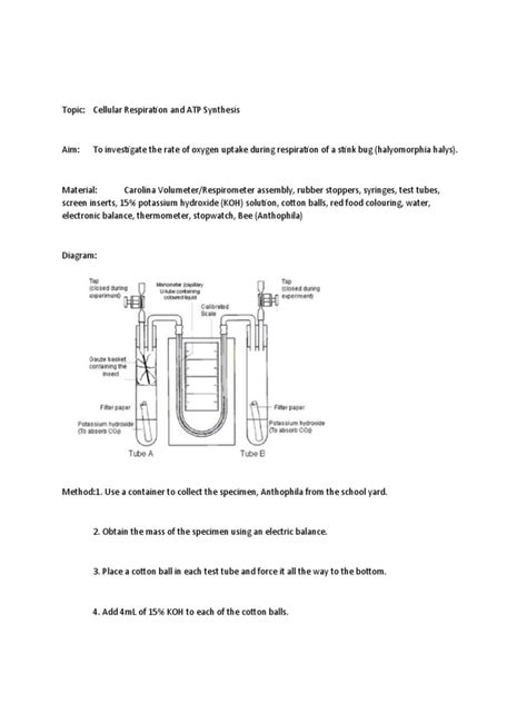 Lab Respirometer Experiment | PDF | Cellular Respiration | Oxygen