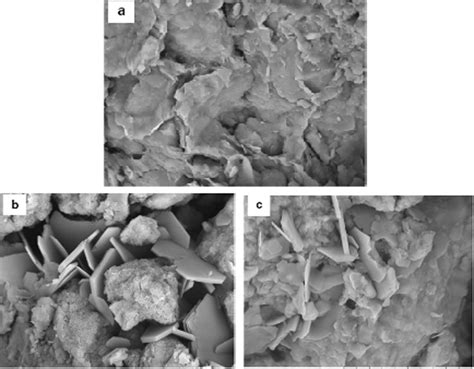 The Significance Of Scanning Electron Microscopy SEM Analysis On The