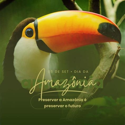 Frase Sobre A Amazônia - Dia da Amazônia: 55 Frases para Inspirar a Conservação - Me Apaixonei