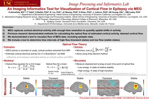 Pdf An Imaging Informatics Tool For Visualization Of Cortical Flow In