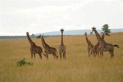 Hell's Gate National Park » Rustic Nature Tours