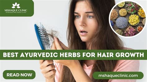 Best Ayurvedic Herbs For Hair Growth All You Need To Know