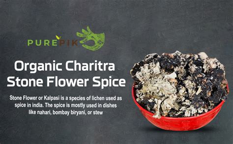 Organic Charitra Stone Flower Spice Dagad Phool Kalpasi Patthar Ke