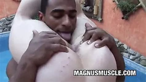 Arcanjo Amaro Gay Porn Videos Porn Star Sex Scenes Xhamster