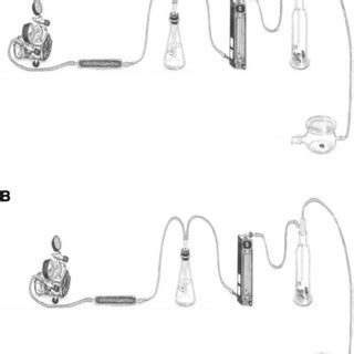 Diagram of olfactometer consisting of one sample (A) and linear... | Download Scientific Diagram