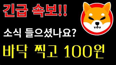 시바이누 코인 긴급속보 소식 들으셨나요 바닥찍고 100원 갑니다 대박이죠 시바이누전망 도지코인 비트코인