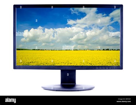 Lcd Monitor