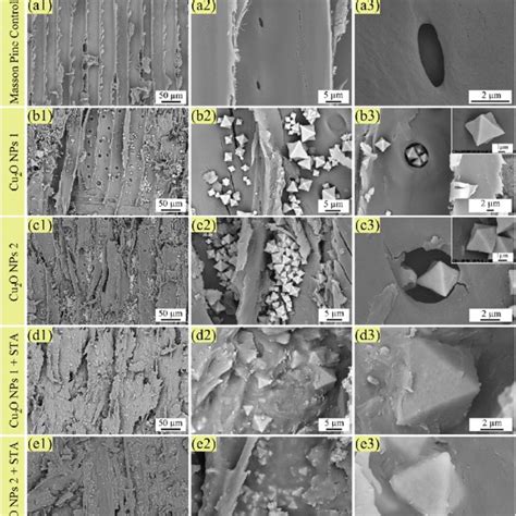 SEM Images Of Masson Pine A With No Coating Or Modified With B Cu