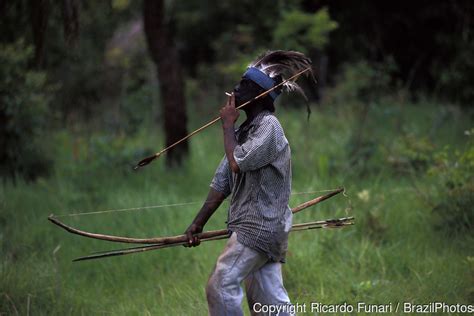 Guarani Kaiowas Indigenous People Brazil Photos