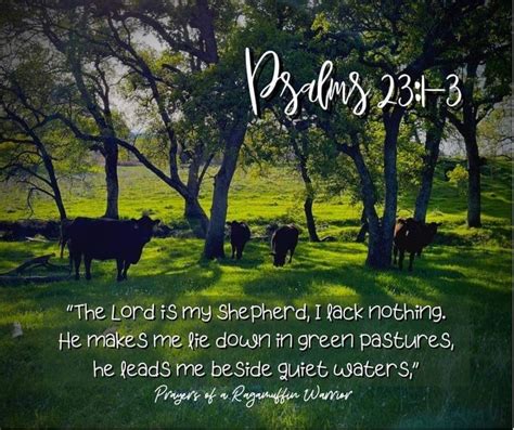 The Lord Is My Shepherd I Lack Nothing He Makes Me Down In Green Pastures