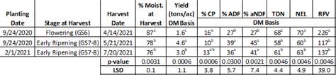 Canola Forage In The Texas High Plains Texas Row Crops Newsletter