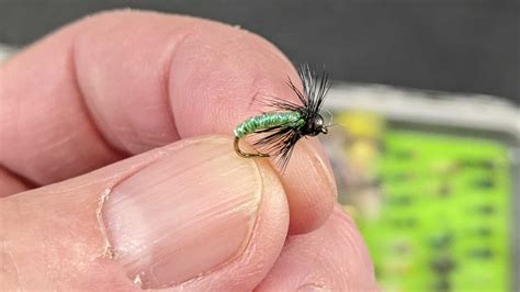 Best Caddisfly Patterns For The Fly Fisher Nymphs Dries With An